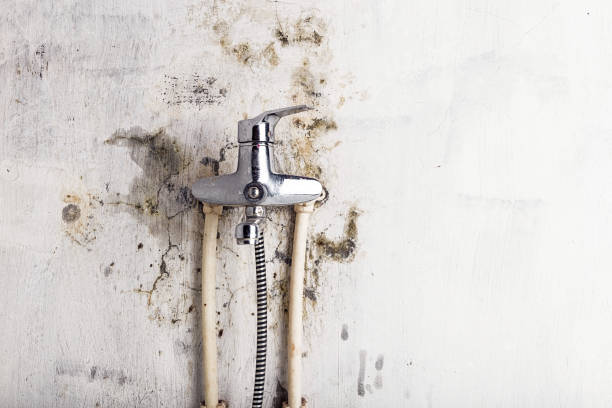 Best Affordable Mold Removal  in Hughes Springs, TX
