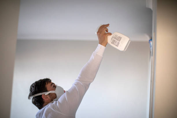 Office Mold Removal Services in Hughes Springs, TX