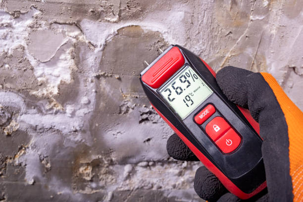 Best Mold Cleaning Services  in Hughes Springs, TX