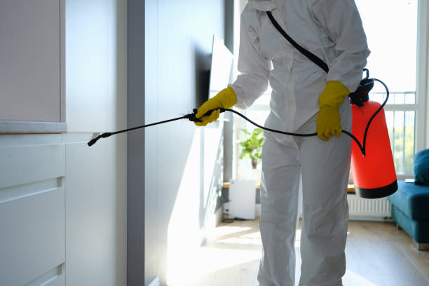 Best Commercial Mold Removal  in Hughes Springs, TX