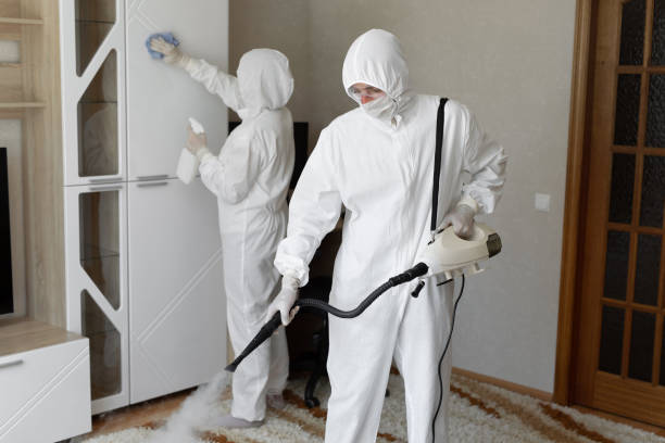 Home Mold Removal in Hughes Springs, TX