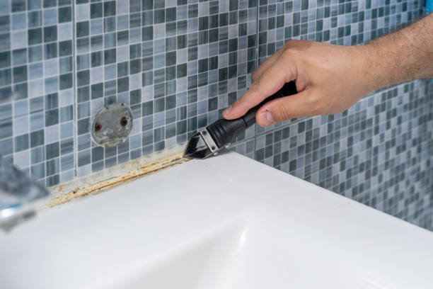 Best Mold Removal Company Near Me  in Hughes Springs, TX