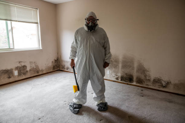 Office Mold Removal Services in Hughes Springs, TX